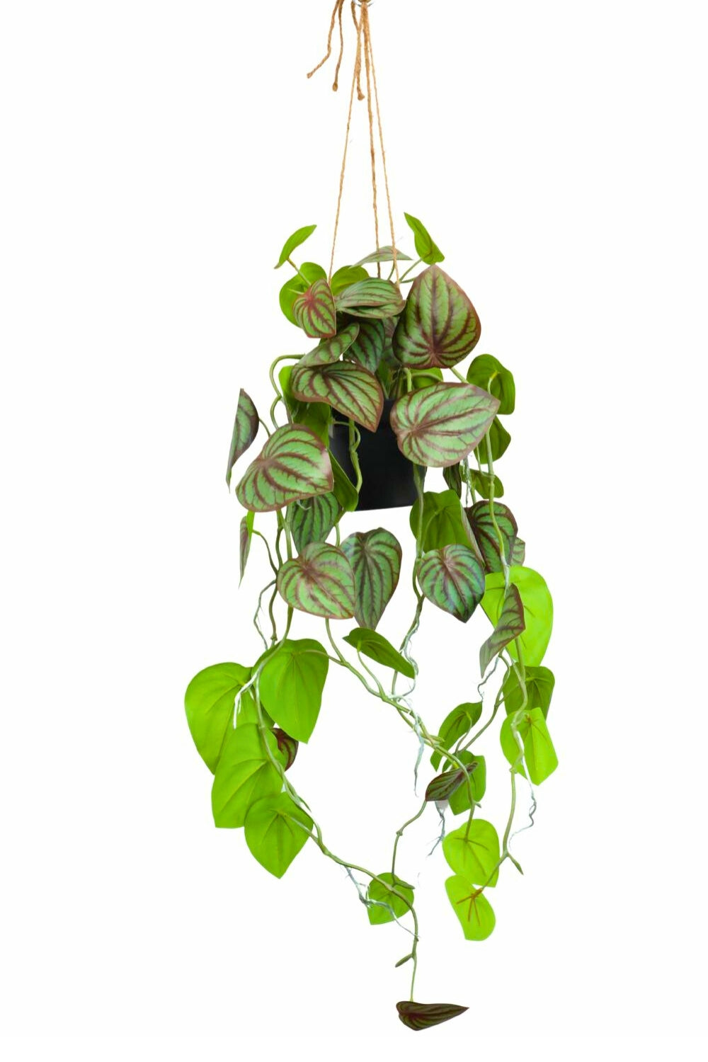 Pothos Künstliche Hängepflanze 70 cm - PrettyPflanzen