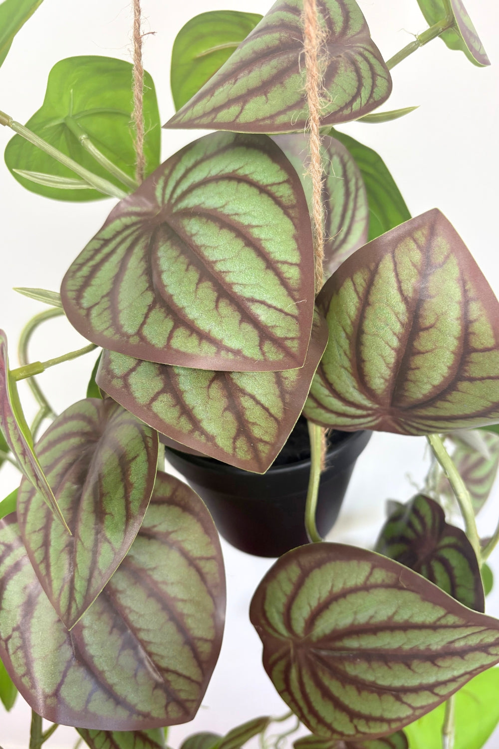 Pothos Künstliche Hängepflanze 70 cm - prettypflanzen