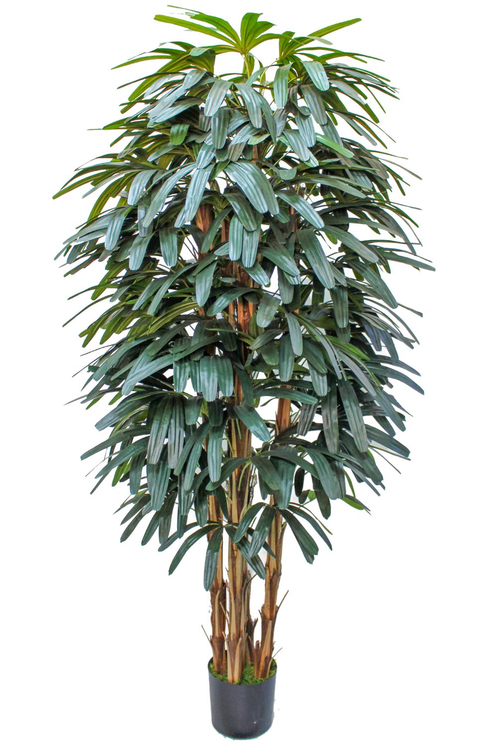 Raphis Kunstpalme 180 cm