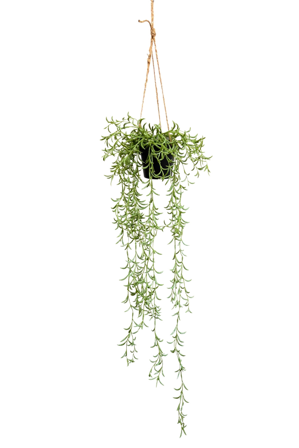 Rosmarin Kunst-Hängepflanze 70 cm - PrettyPflanzen