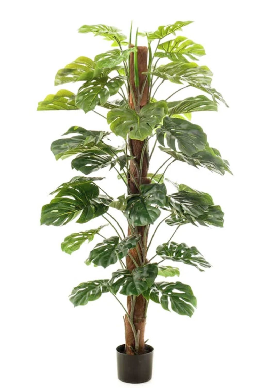 Monstera Kunstpflanze 150cm