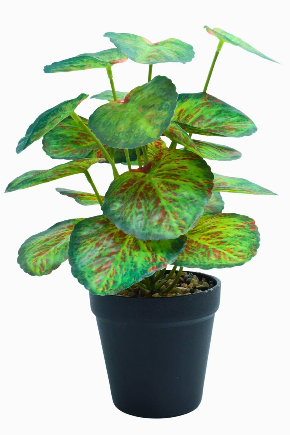 Taro Kunstpflanze 32 cm – PrettyPflanzen