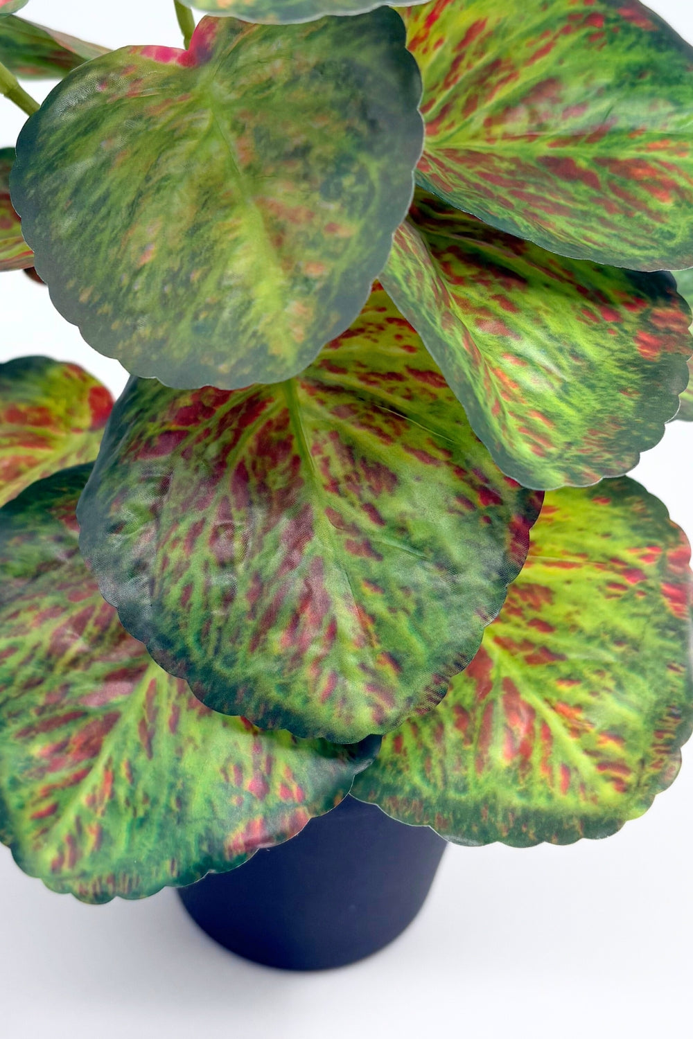 Taro Kunstpflanze 32 cm – PrettyPflanzen