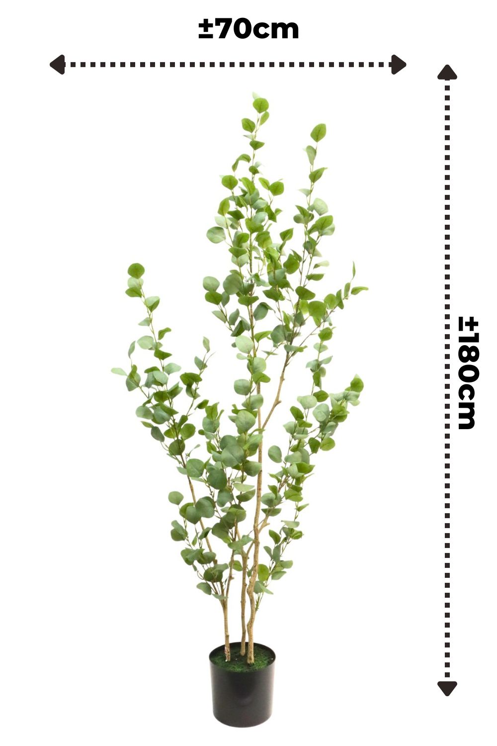 Maßangabe Eukalyptus Kunstpflanze 180cm