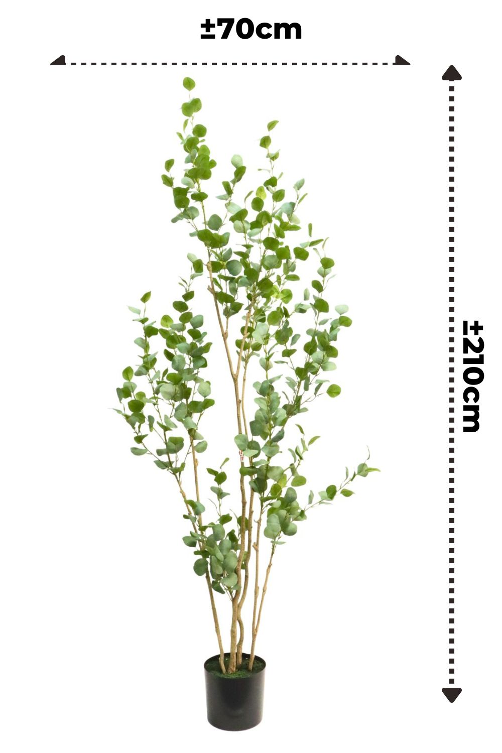 Maßangabe Eukalyptus kunstpflanze 210cm