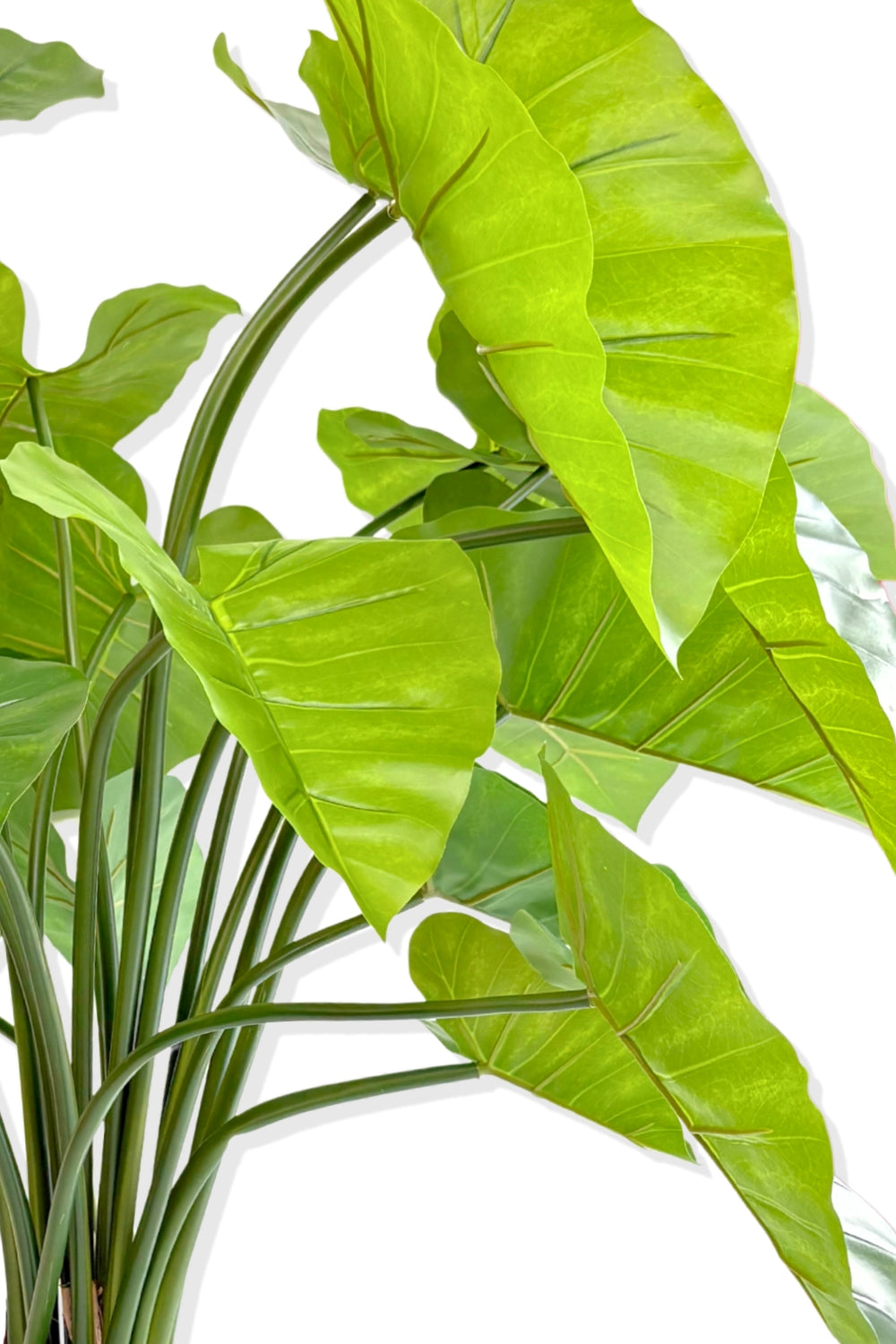 Alocasia Kunstpflanze 100cm