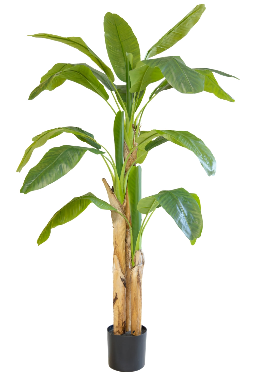 Kunstpflanze Bananenstaude 180cm günstig online kaufen