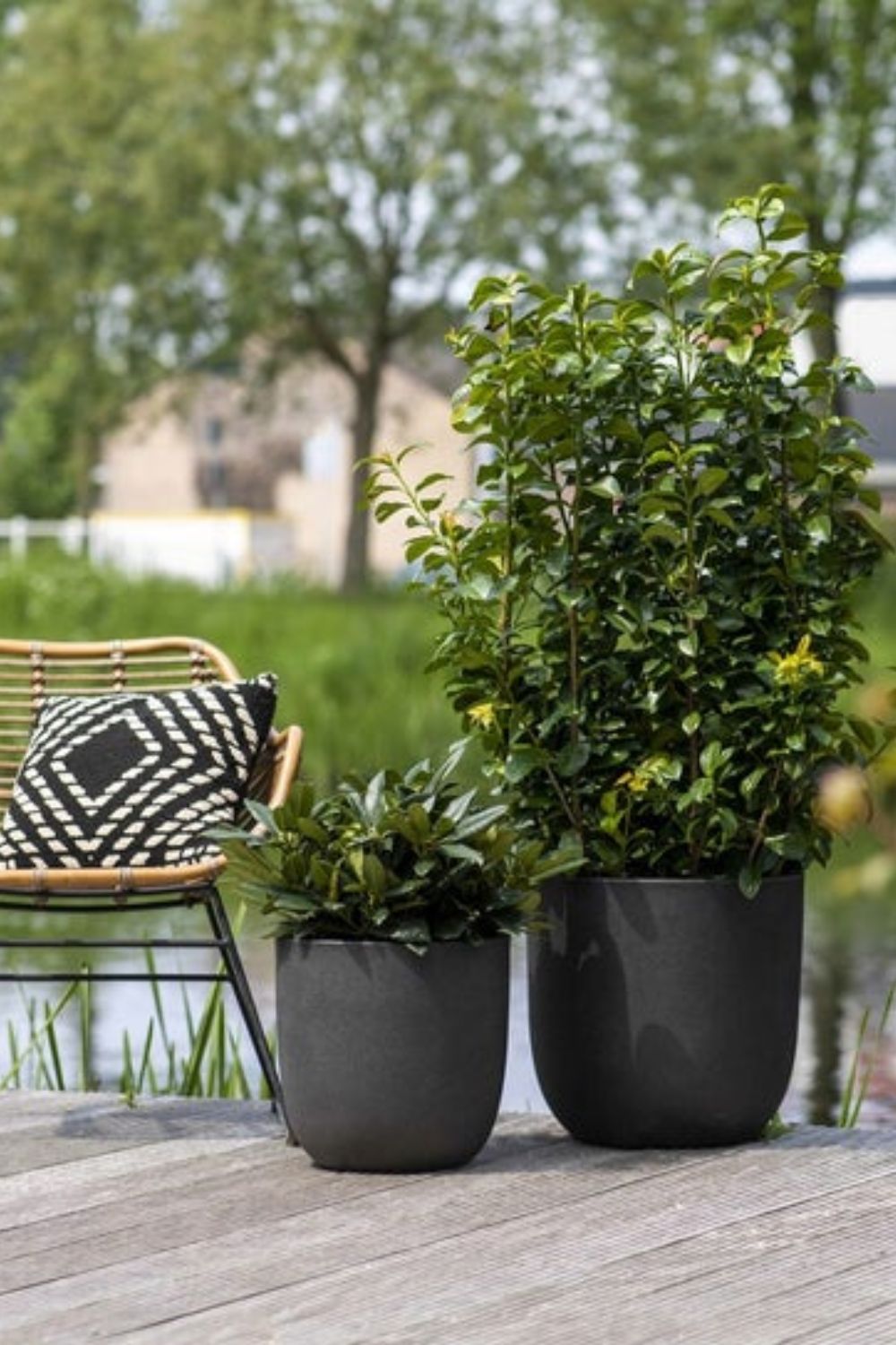 Capi Blumentopf Smooth Kugel 35x34 Schwarz