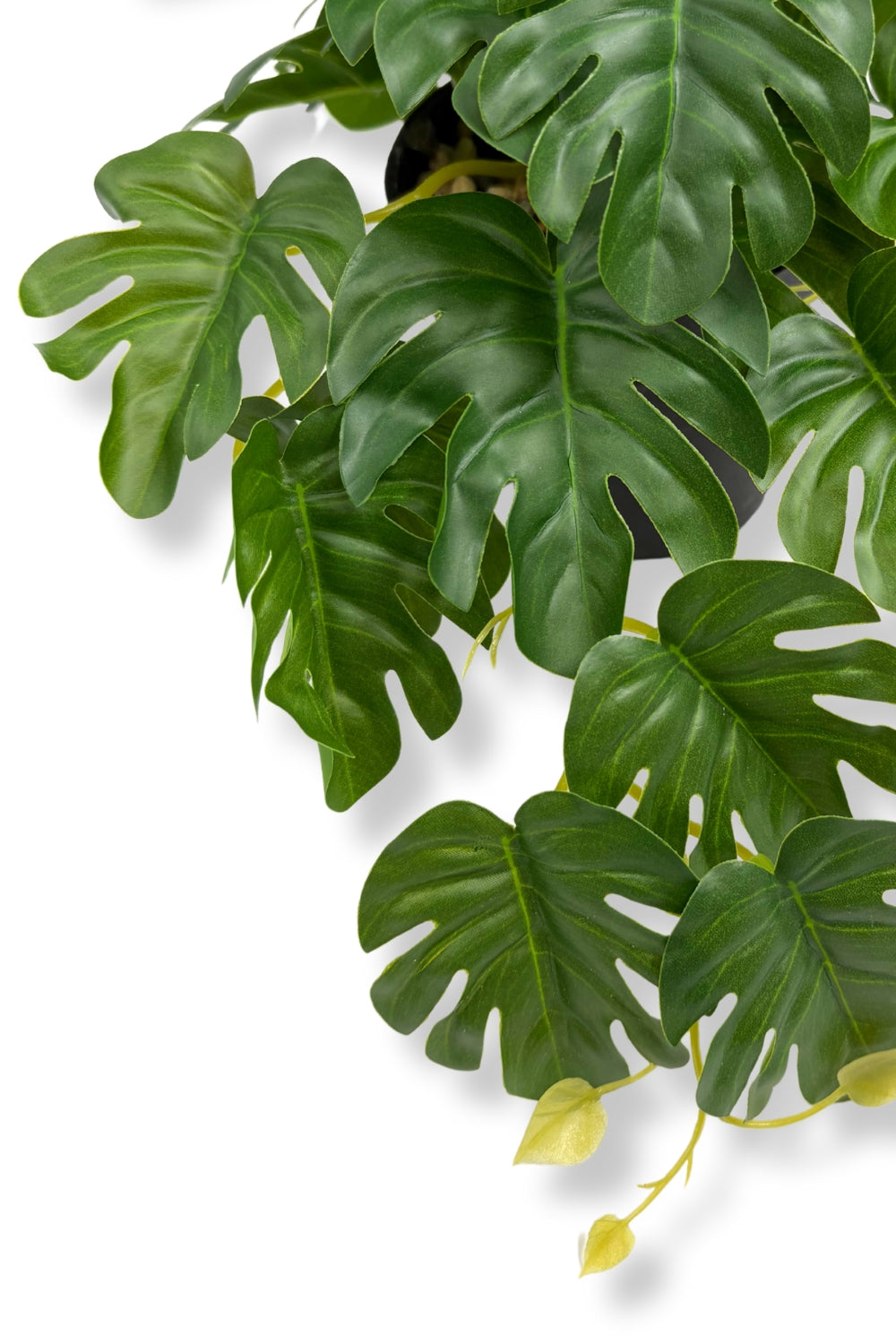 Monstera Kunstpflanze 17 cm - prettypflanzen