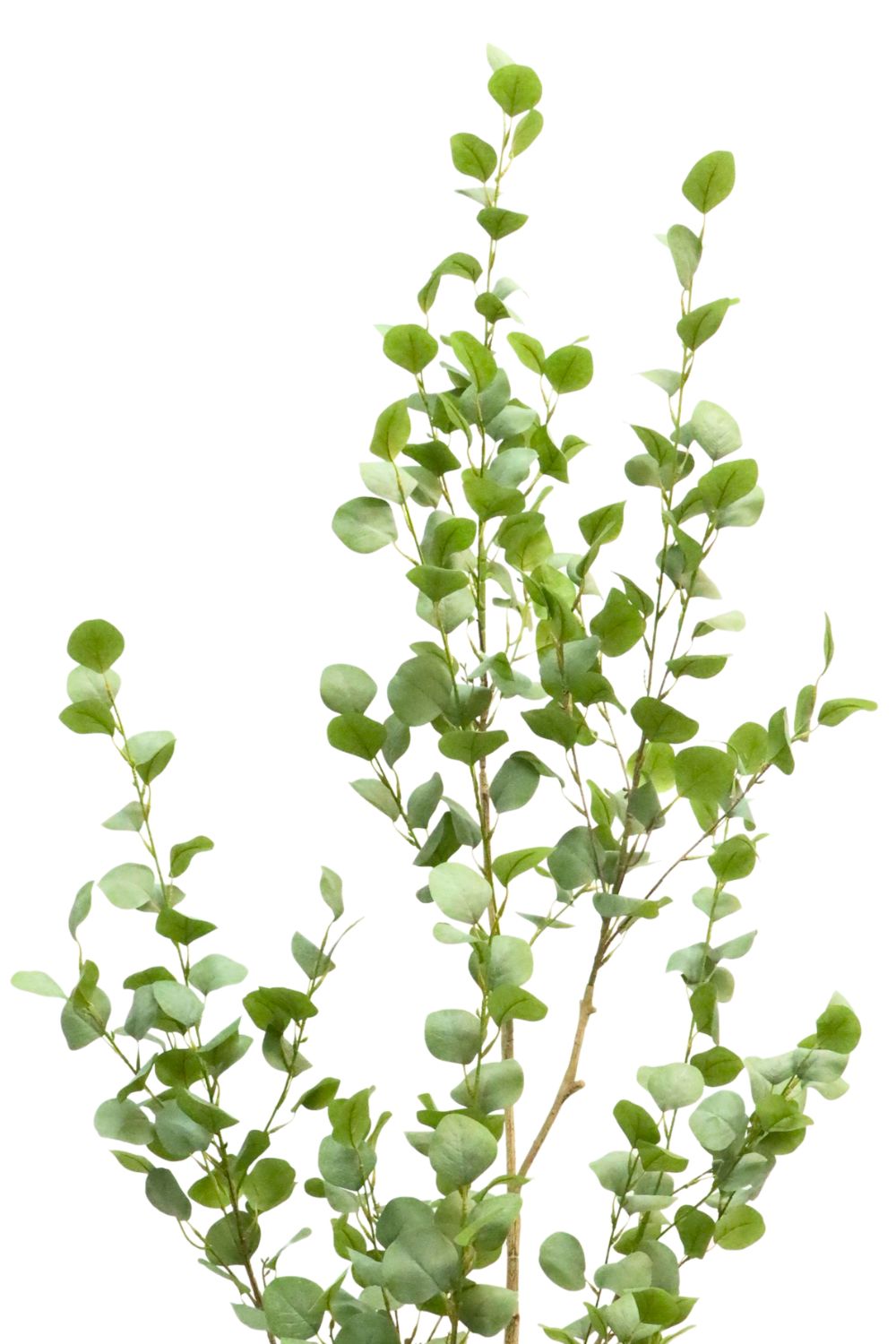 Eukalyptus Kunstpflanze 180cm