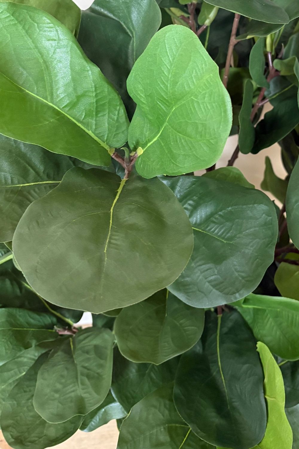 Ficus Kunstpflanze 120cm