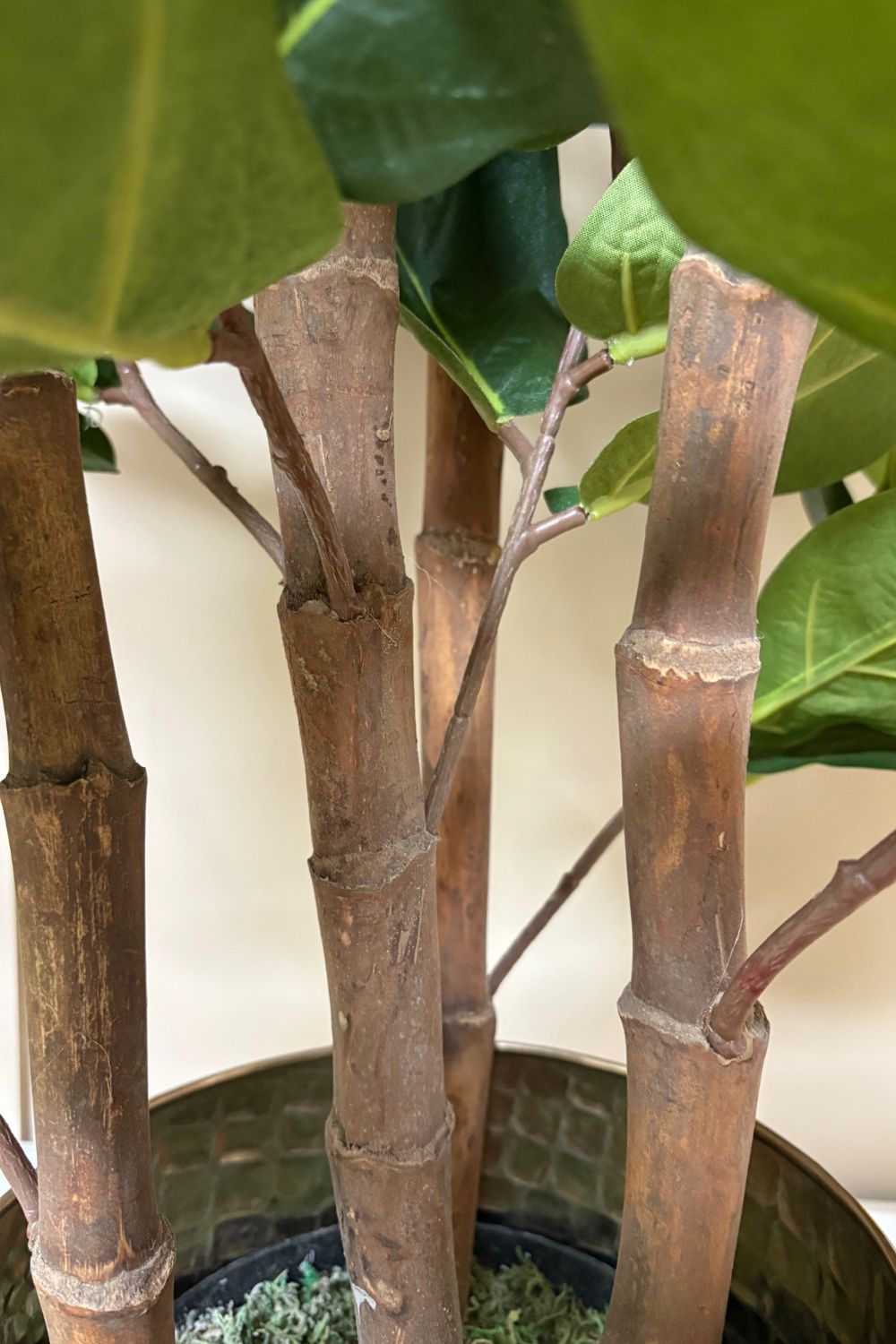 Ficus Kunstpflanze 120cm