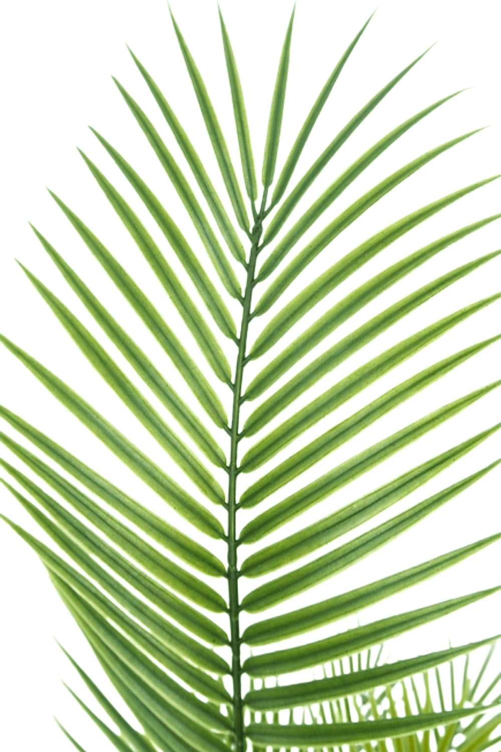 Palme Kunstpflanze 130cm