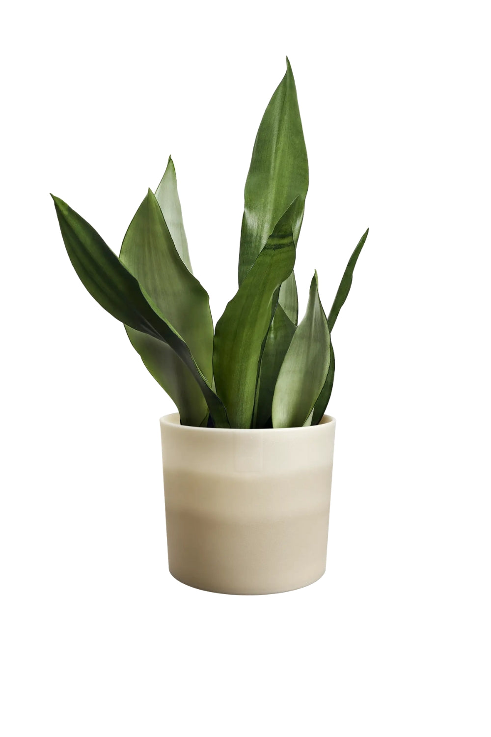 Blumentopf Elho Colour Gradient Rund 16cm Sandstein-Beige