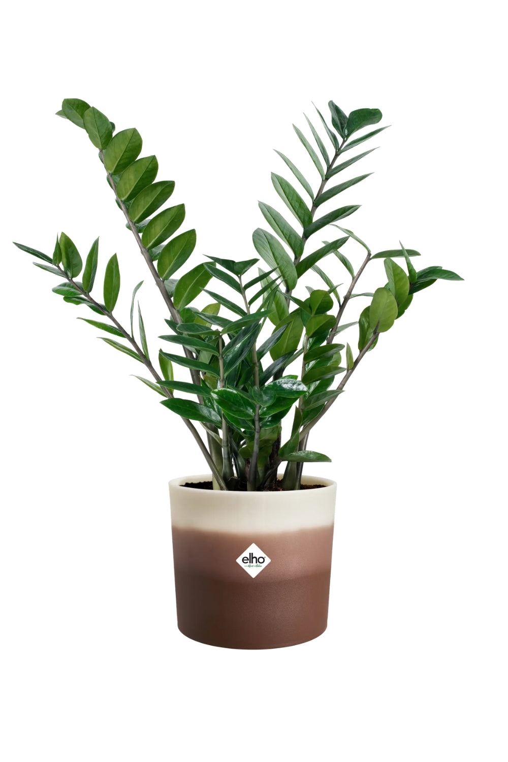 Blumentopf Elho Colour Gradient Rund 18cm Zedernbraun