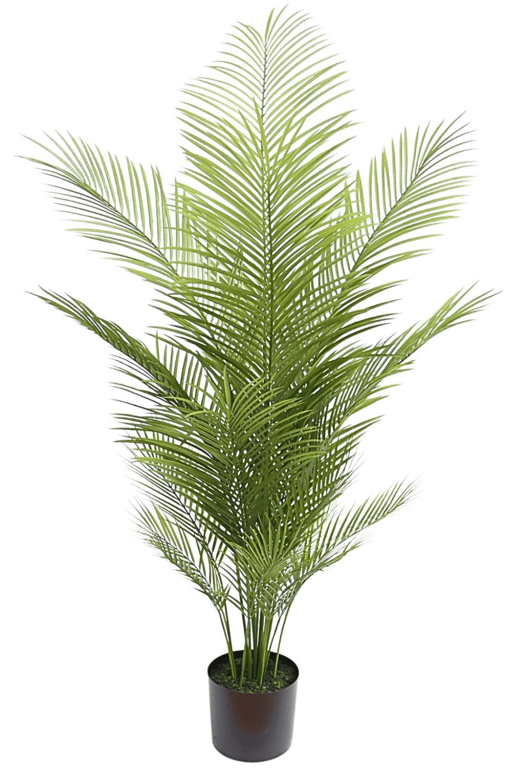 Palme Kunstpflanze 150cm