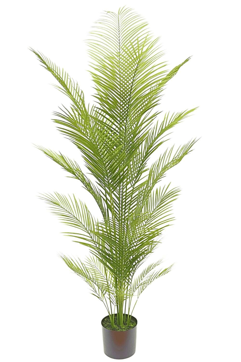 Palme Kunstpflanze 180cm