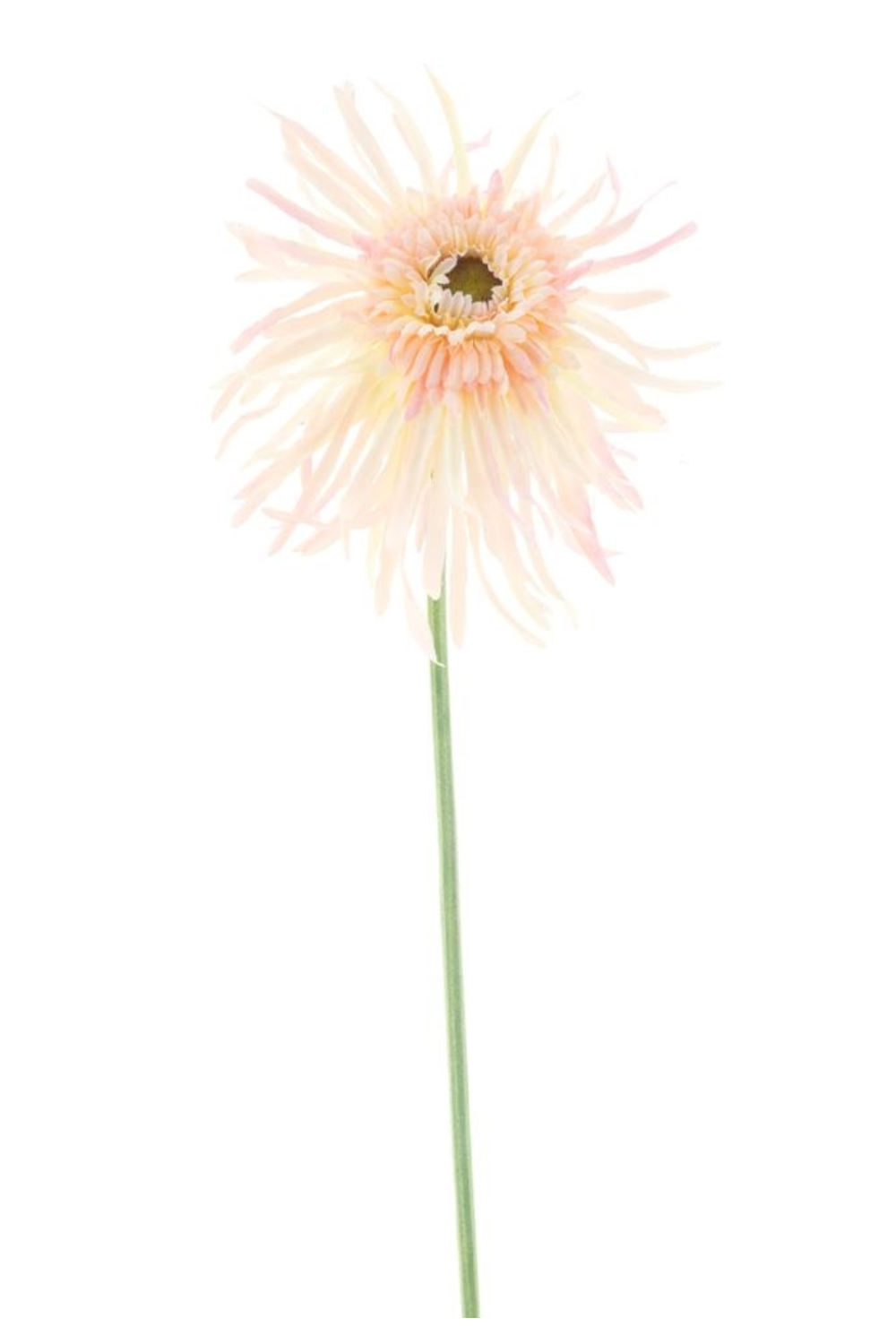 Spider Gerbera Kunstblume Creme/Rosa 65cm