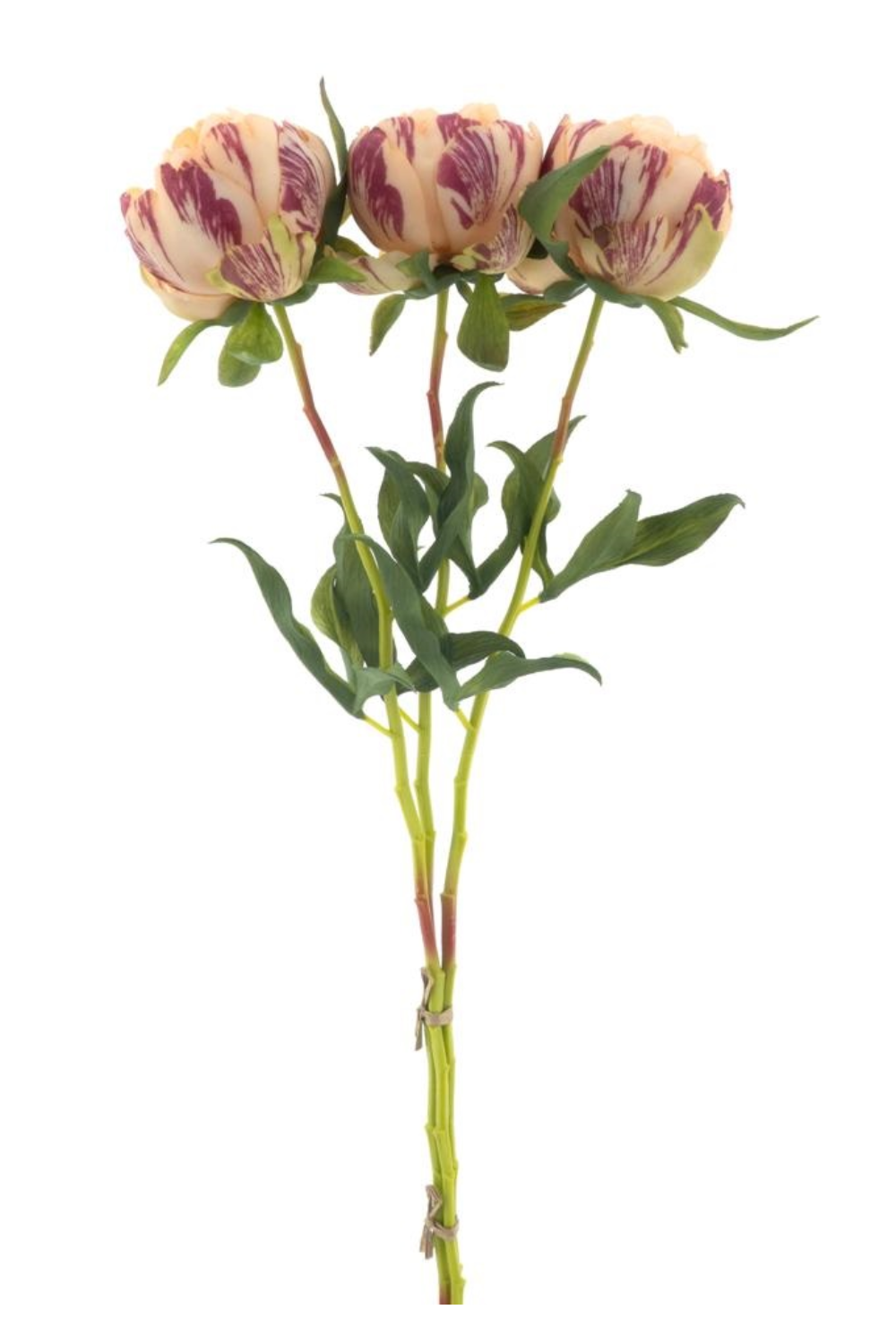 Pfingstrosen-Bündel 3 Stk. Pfirsich 63 cm