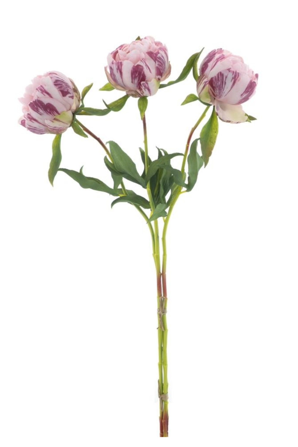 Pfingstrosen-Bündel 3 Stk. Rosa 63cm