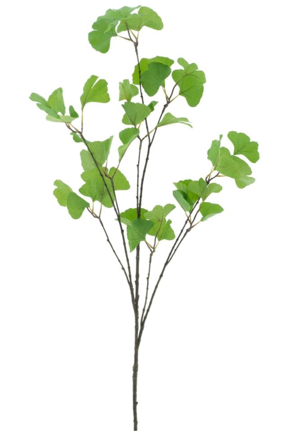 Ginkgo Kunstzweig 126 cm