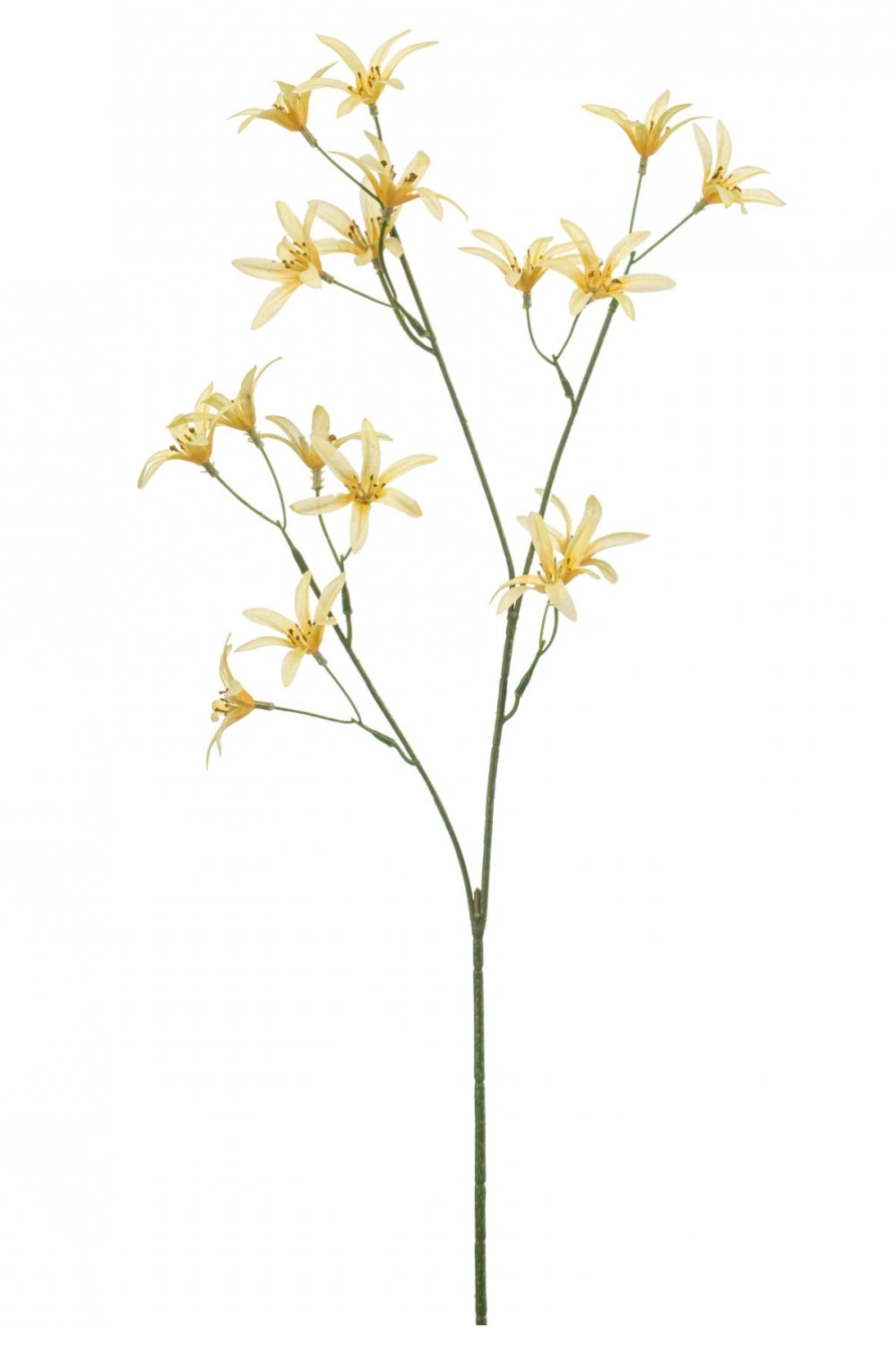 Tweedia Kunstblume 69 cm Gelb