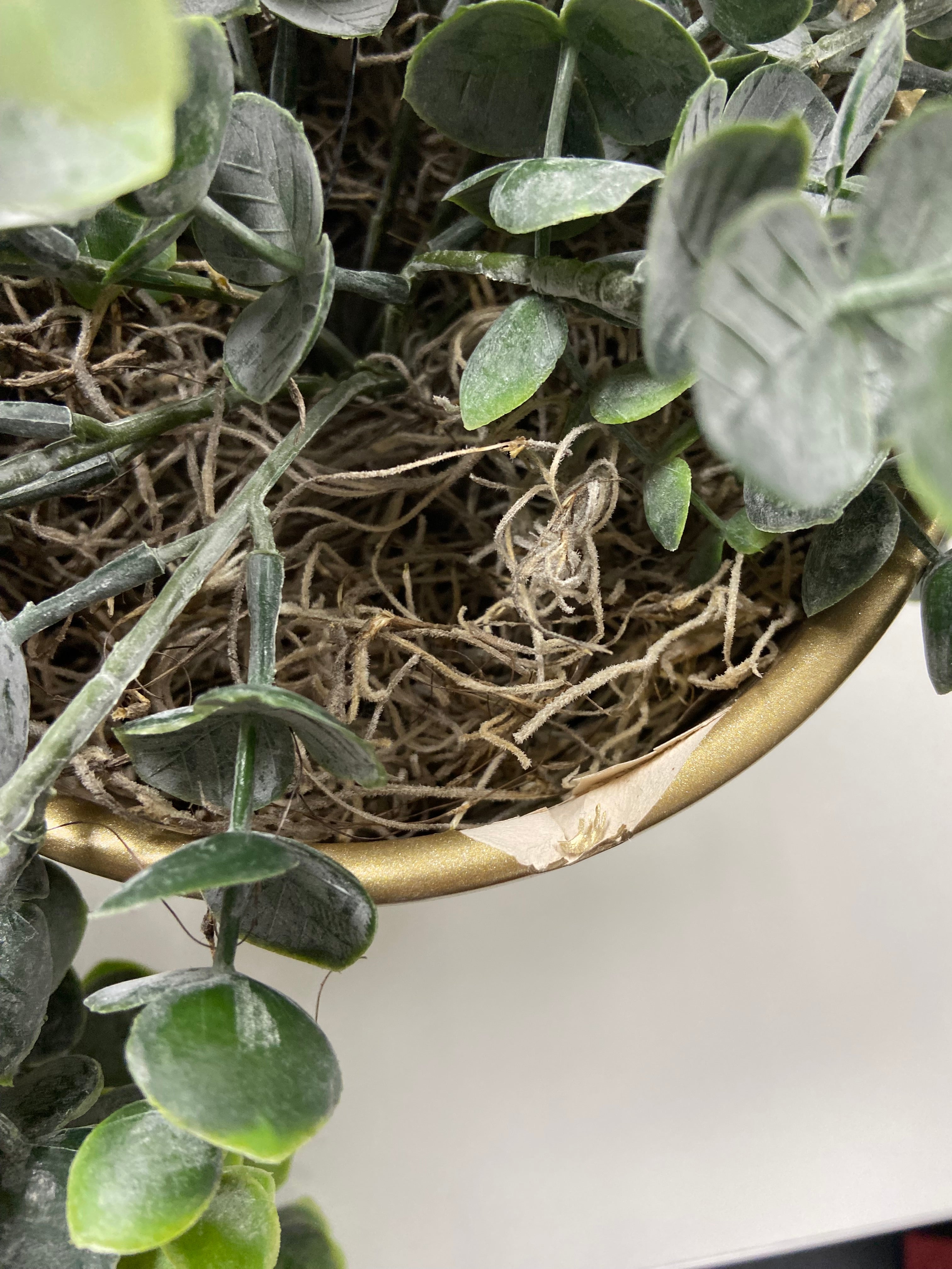 Eukalyptus künstliche Hängepflanze im goldenen Topf 75cm