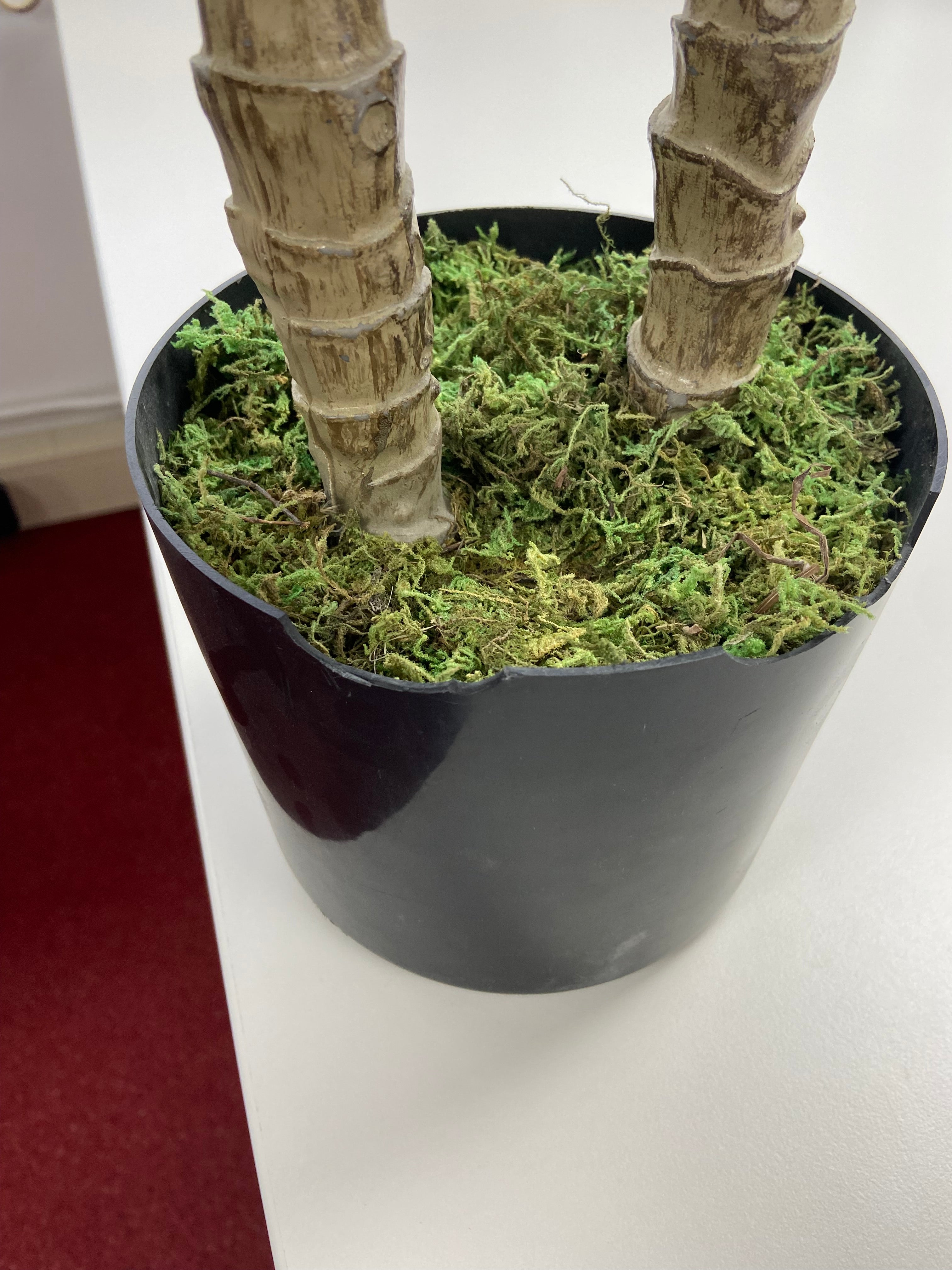 Dracaena Kunstpflanze 100cm