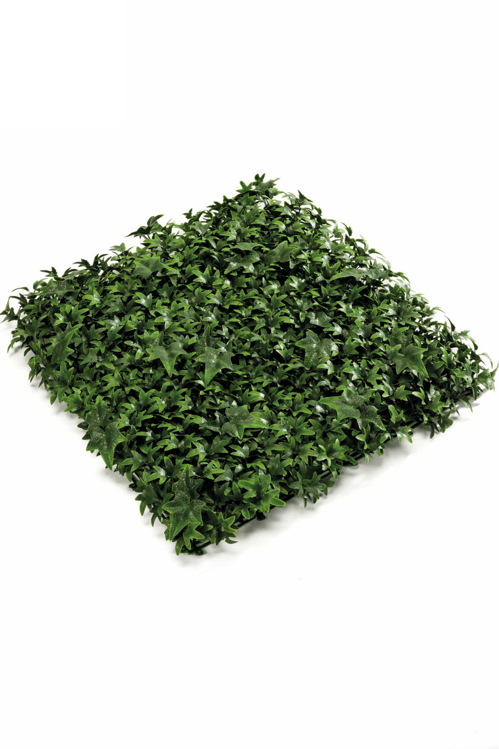 Knstliche Hecke Efeu 50x50 cm UV gnstig online kaufen