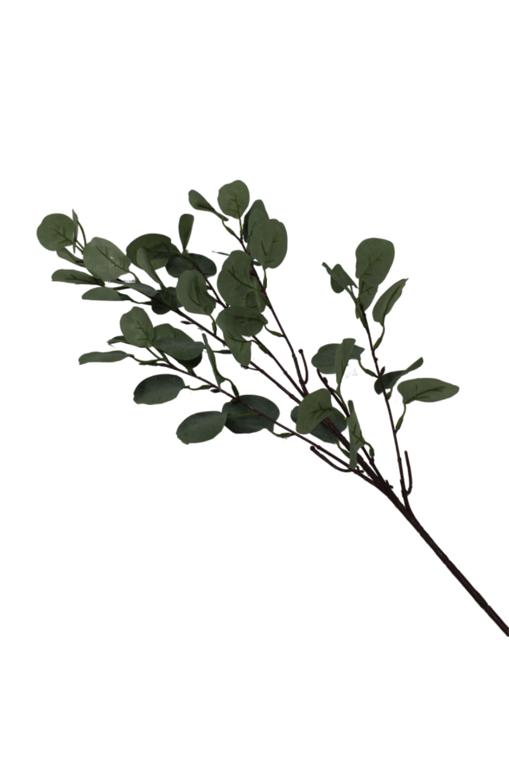 PrettyPflanzen Eukalyptus cm | Kunstzweig 65