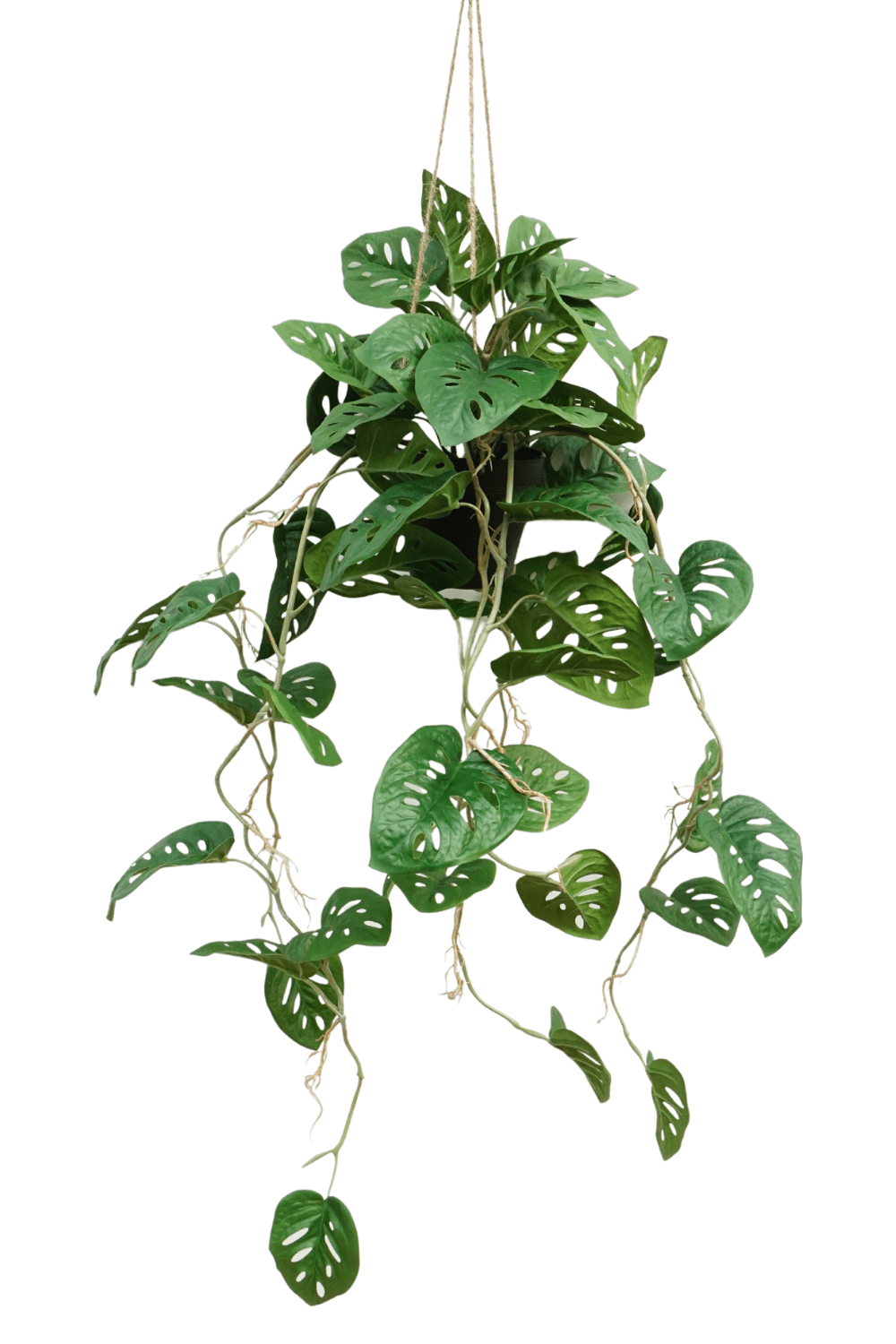 Monstera Monkey Bush künstliche Hängepflanze 95cm kaufen