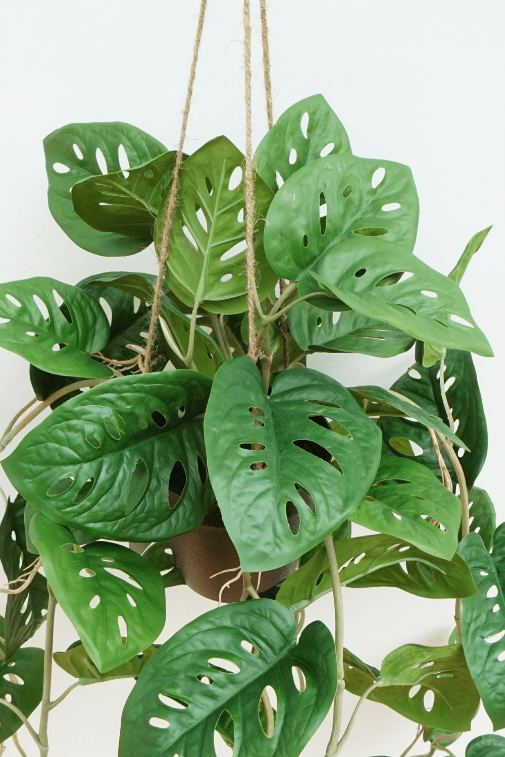 bladeren Monstera Monkey Bush Kunst Hangplant 95cm