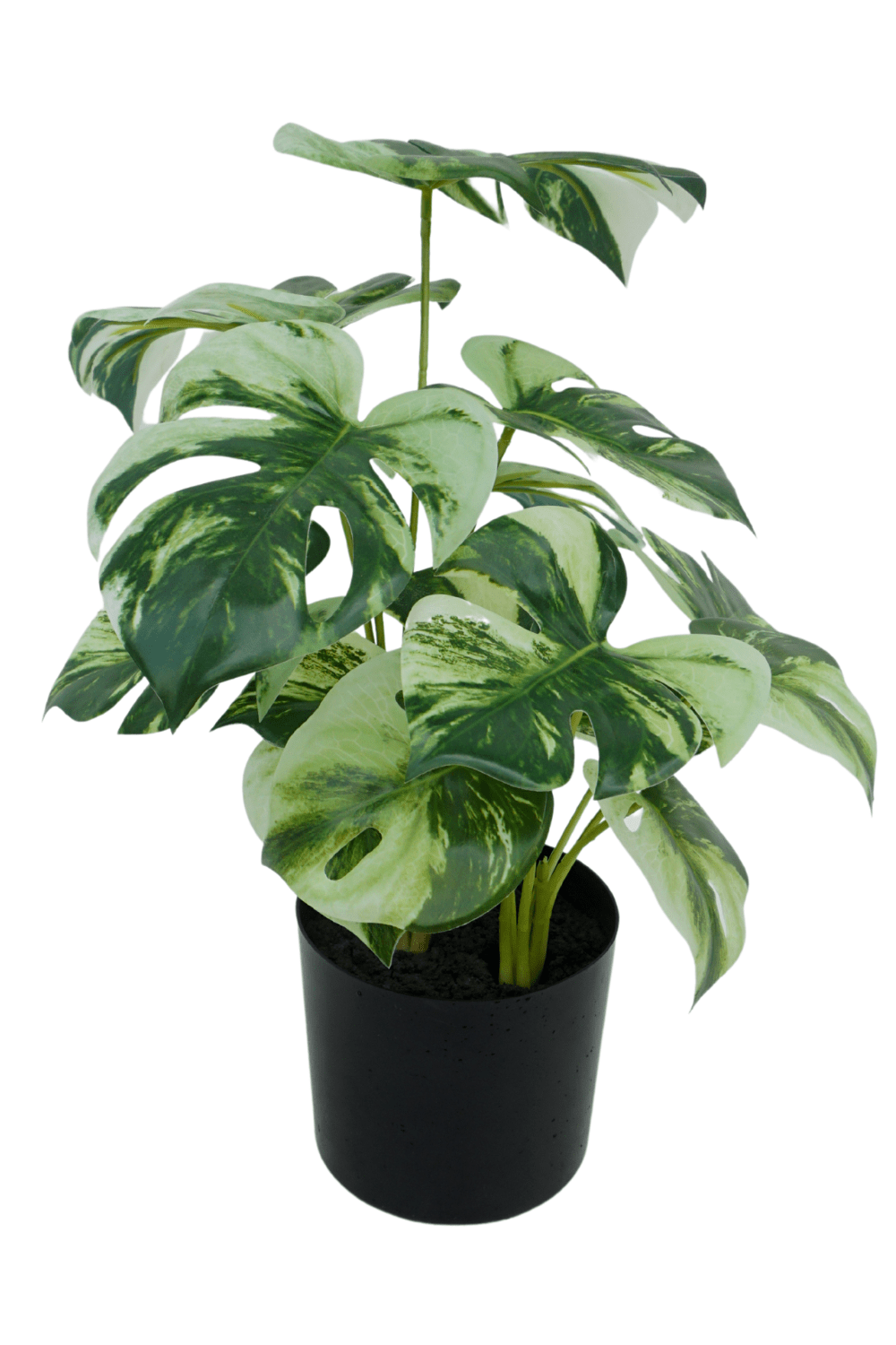 Monstera Kunstpflanze 40cm schnell günstig online kaufen