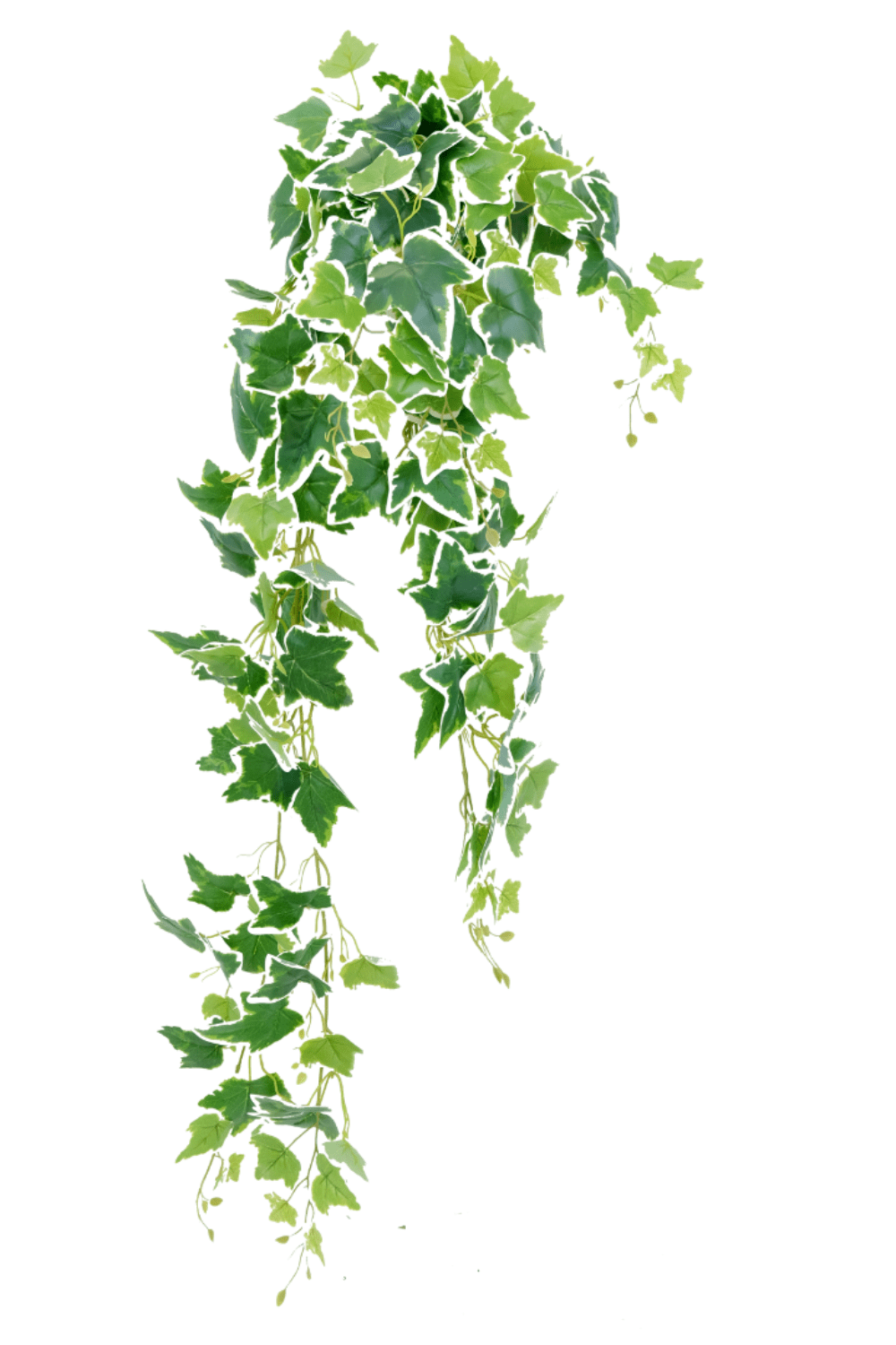 kunst hedera Hedera Star künstliche Hängepflanze 110cm online kaufen