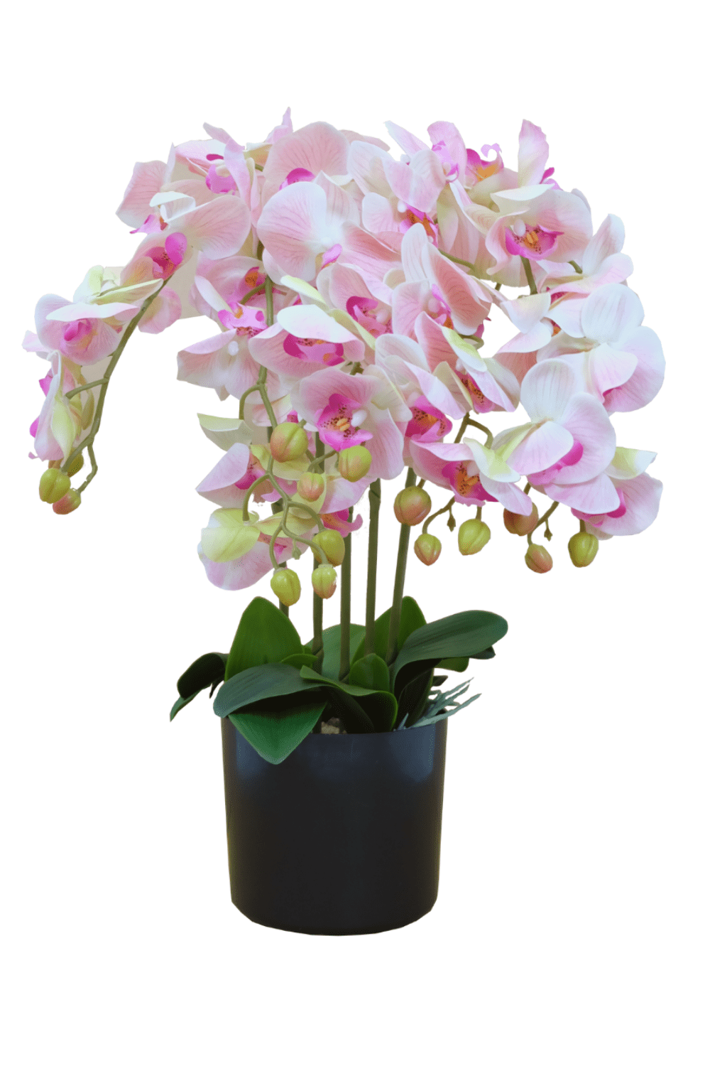 Orchidee Kunstpflanze Hellrosa 70cm günstig online kaufen