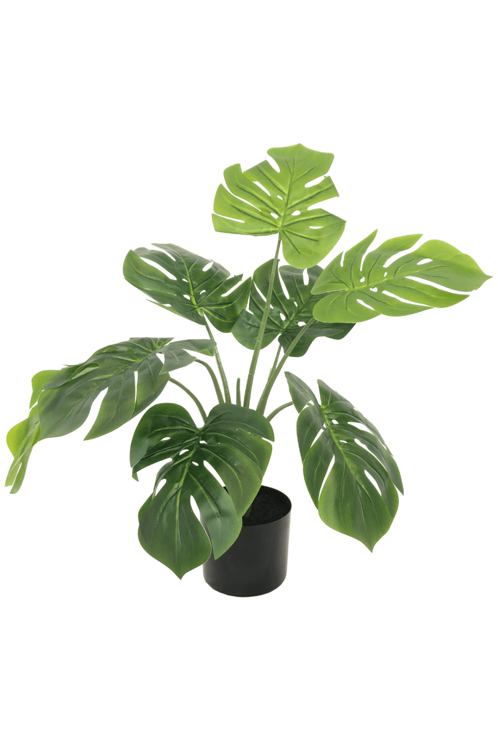 Monstera Kunstpflanze 60cm schnell günstig online kaufen