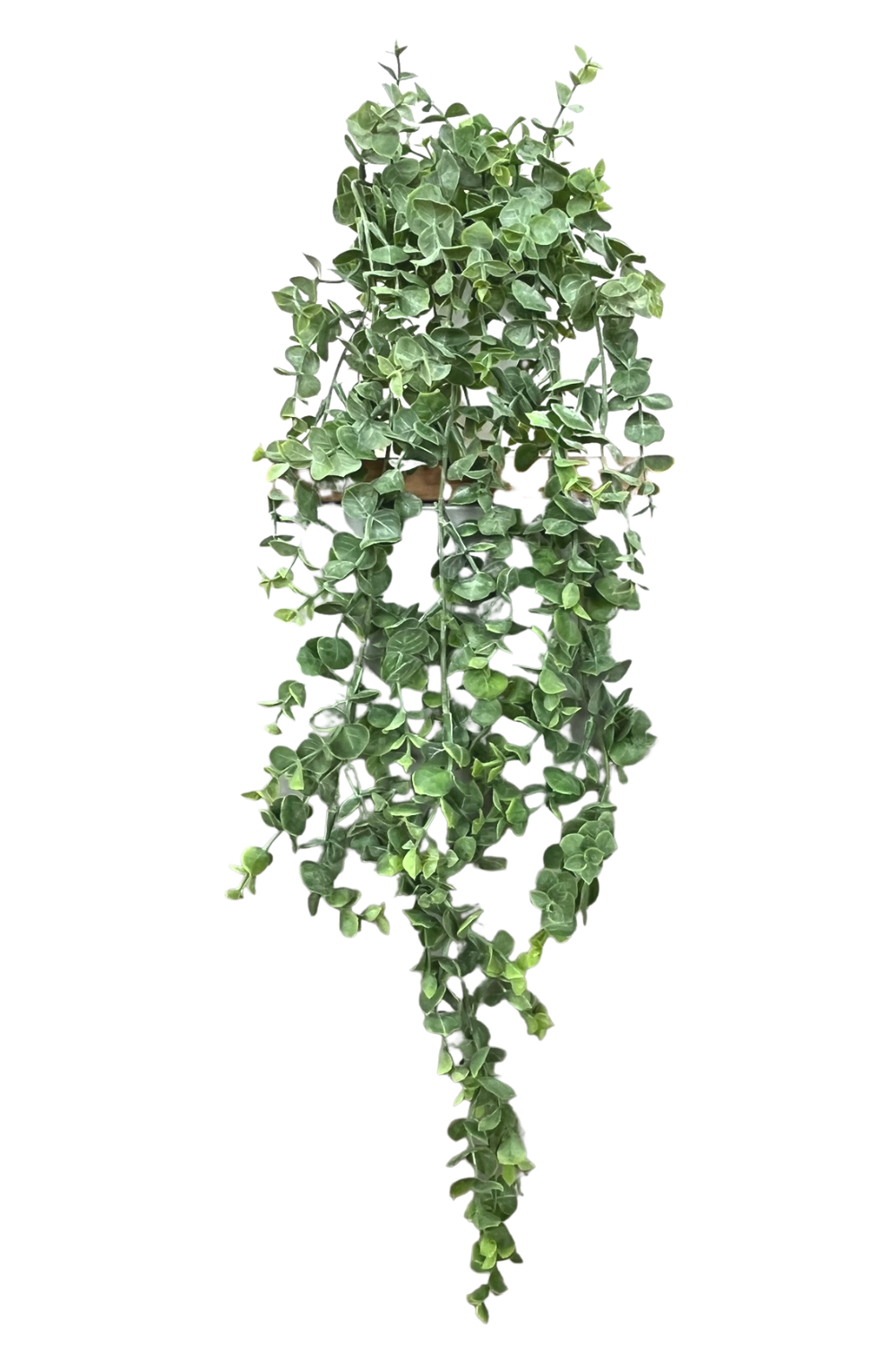 Eukalyptus künstliche Hängepflanze 60 cm online kaufen