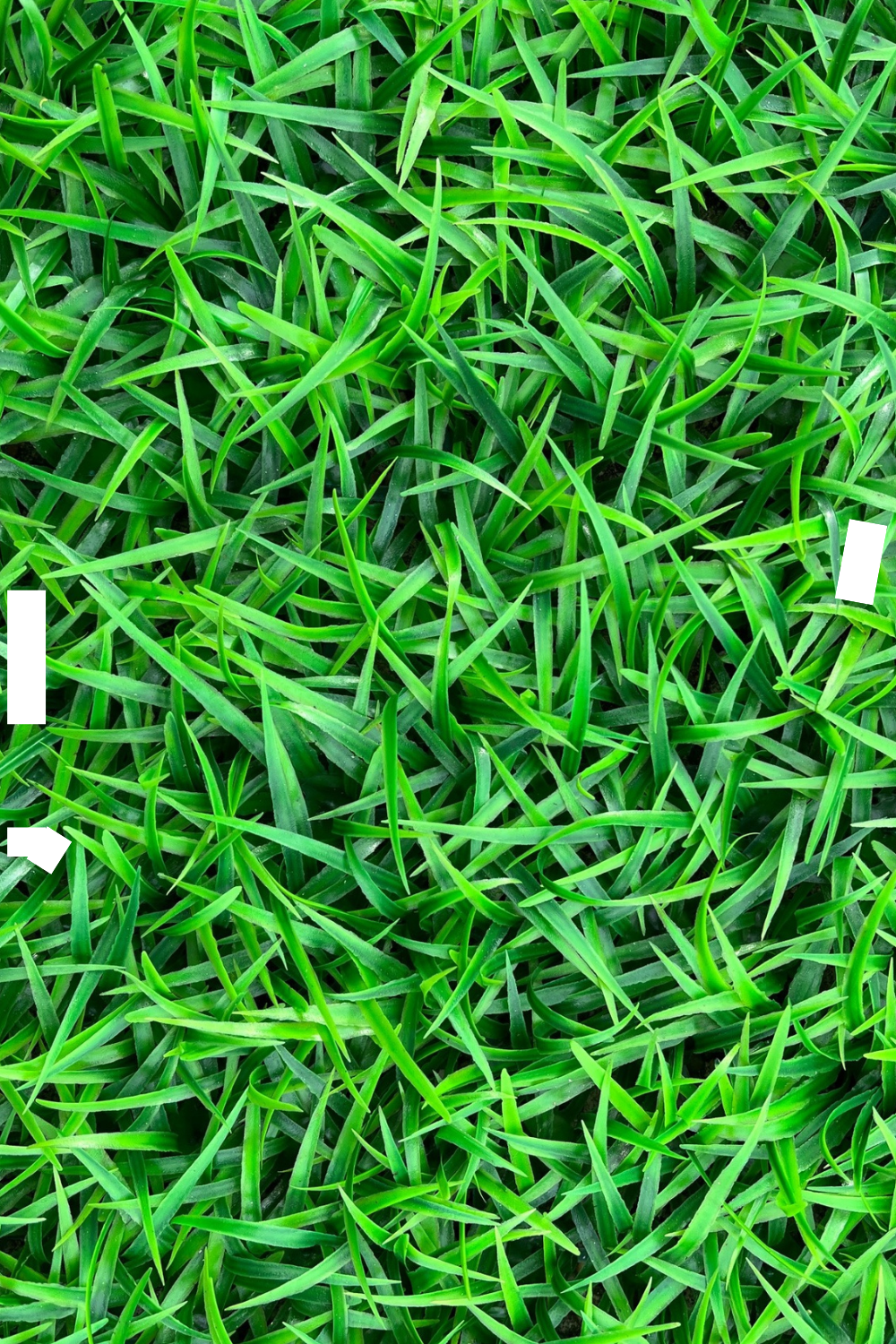 details Kunsthaag Gras 60x40cm