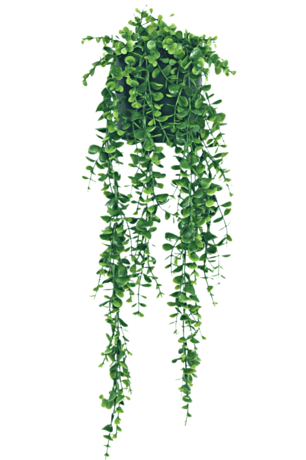 Eukalyptus hängende Kunstpflanze 65cm günstig online kaufen