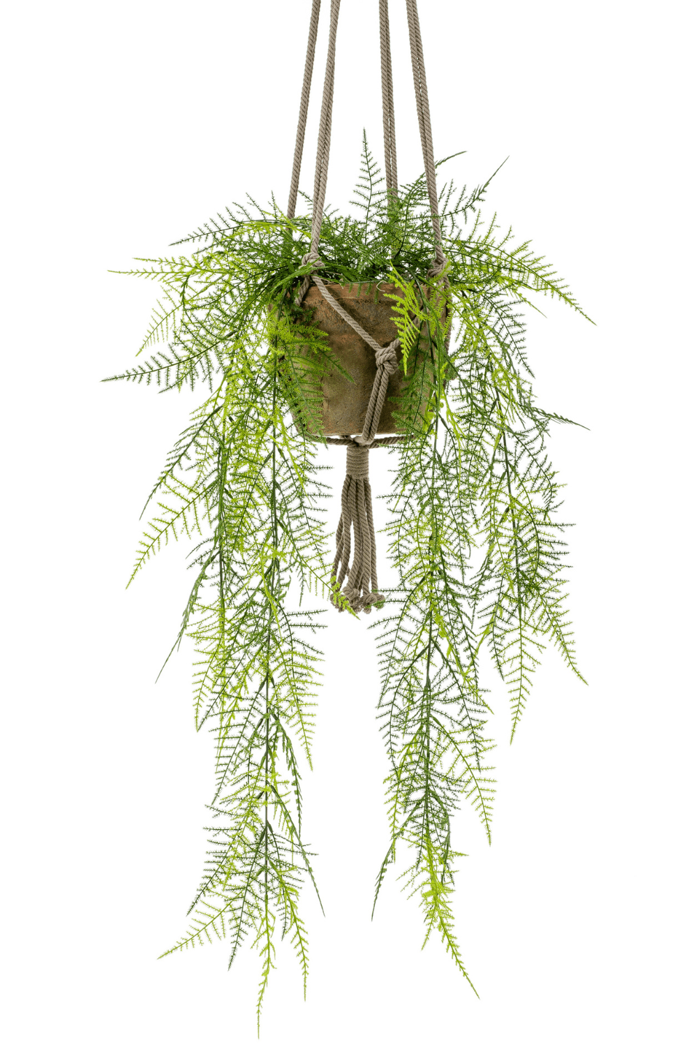 Spargel künstliche Hängepflanze 80cm mit Topf und Schnur