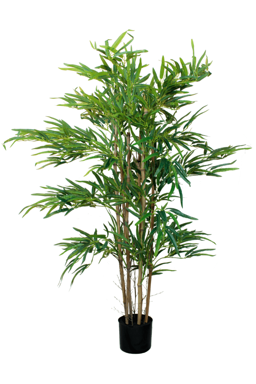 Kunstpflanze Bambus 120cm | Kostenloser PrettyPflanzen Versand 