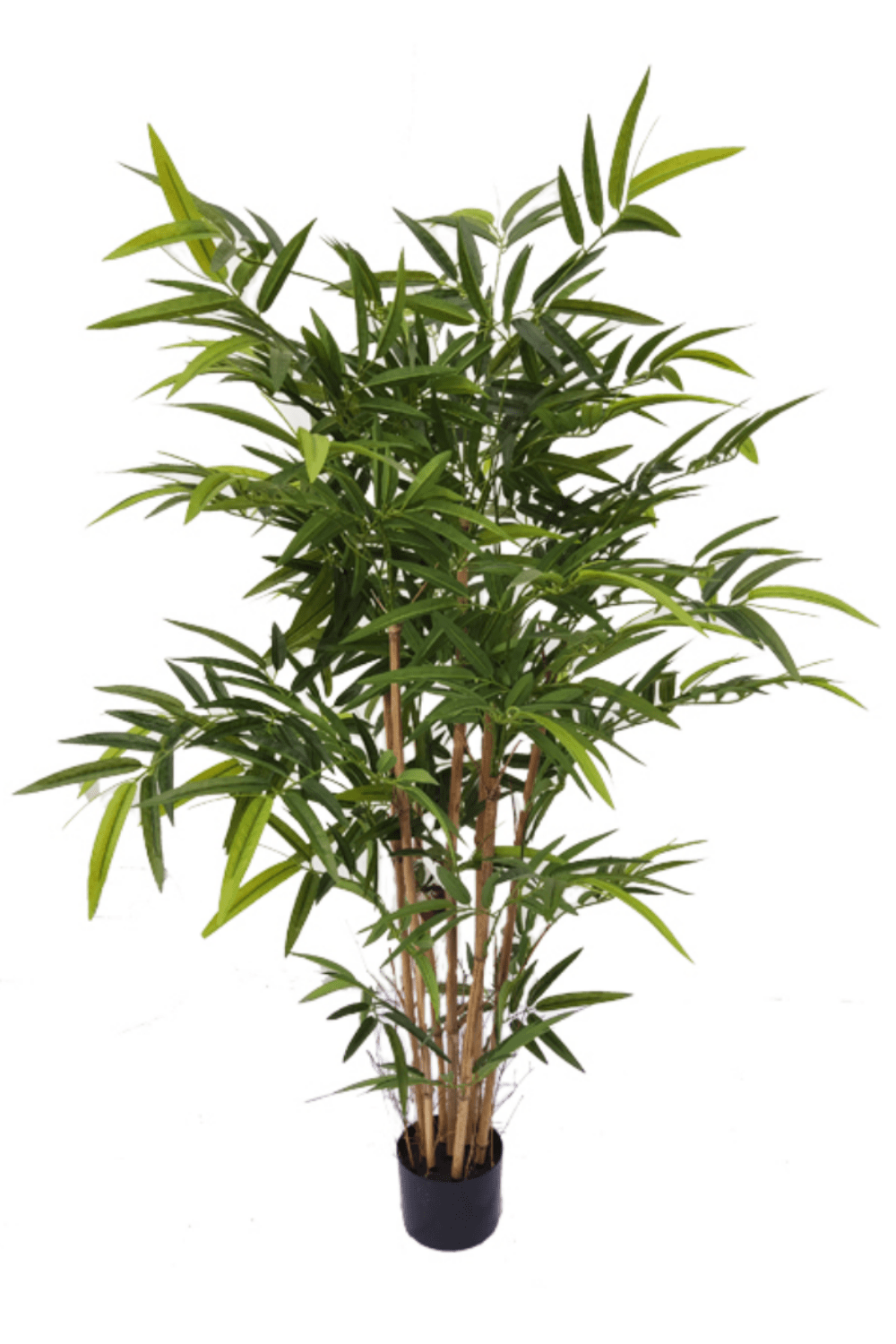 cm 120 Kostenloser | PrettyPflanzen Versand Kunstpflanze | Bambus
