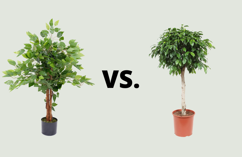 Warum sollten Sie sich für eine Kunstpflanze entscheiden?