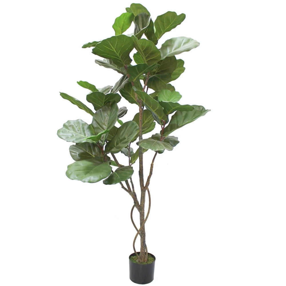 Künstliche Ficus