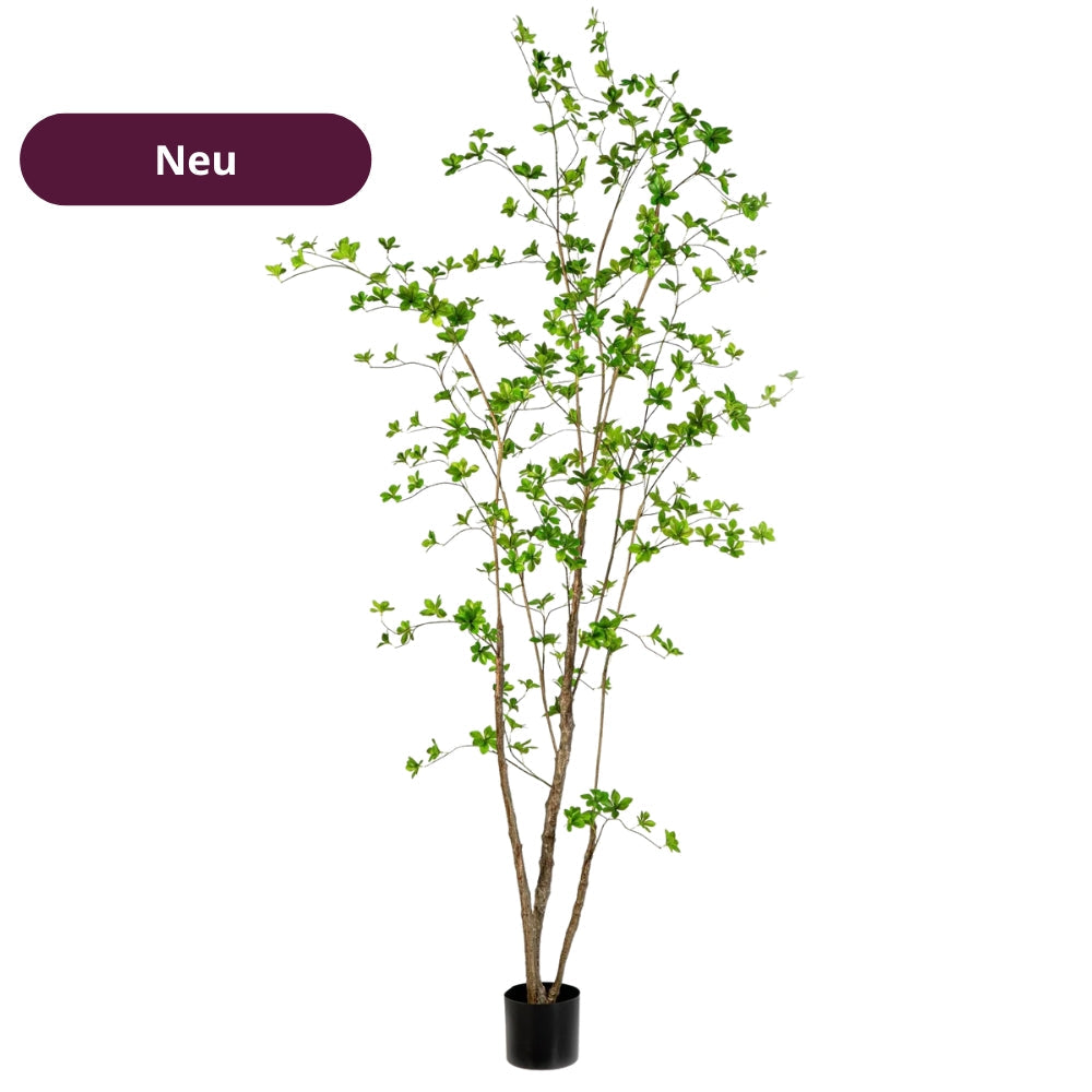 Neu!