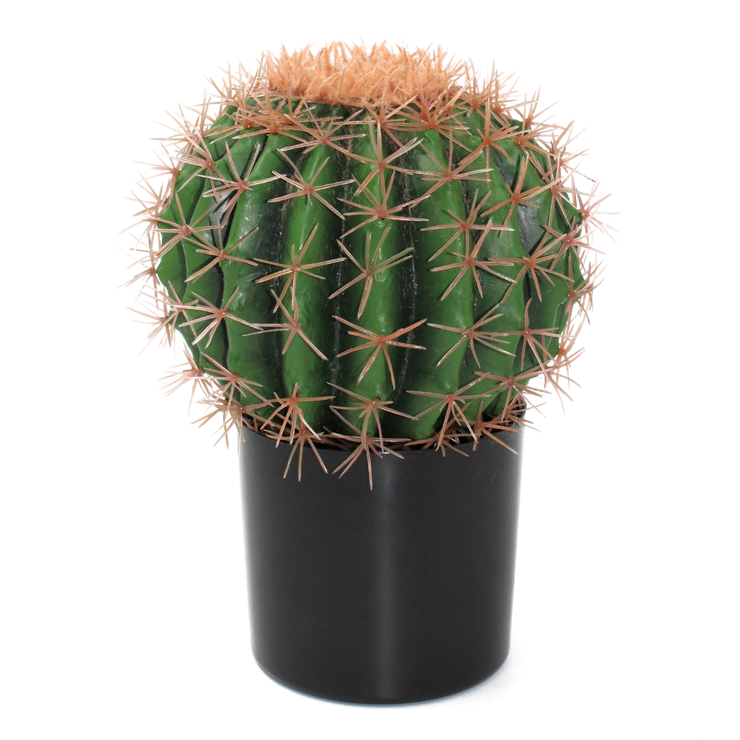 Künstlicher Kaktus, Hohe Qualität