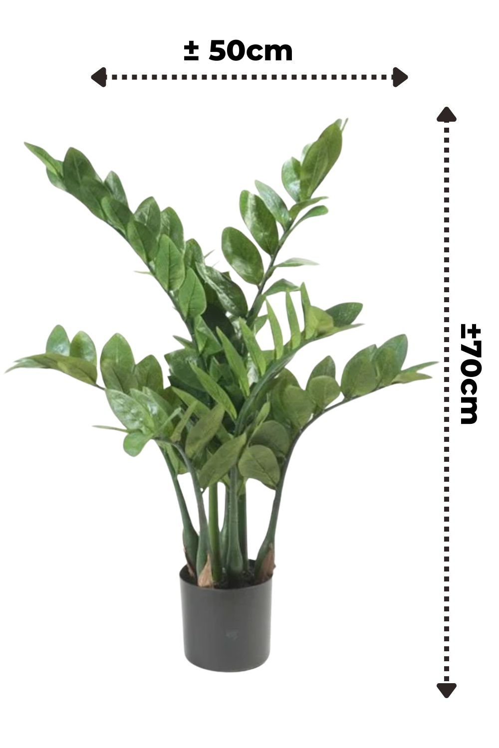 Zamioculcas Kunstpflanze 70cm