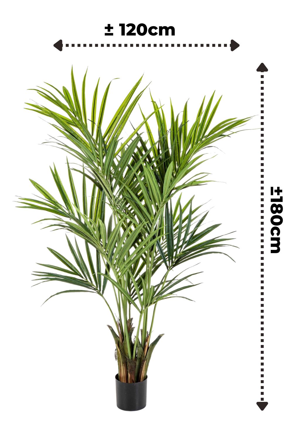 Künstliche palme Kentia 180cm