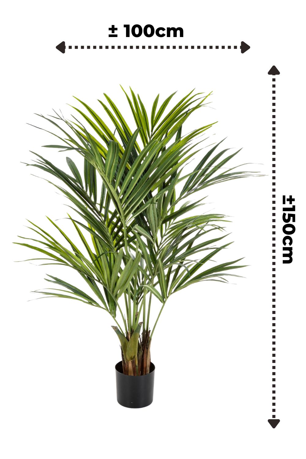 Künstliche palme Kentia 150cm