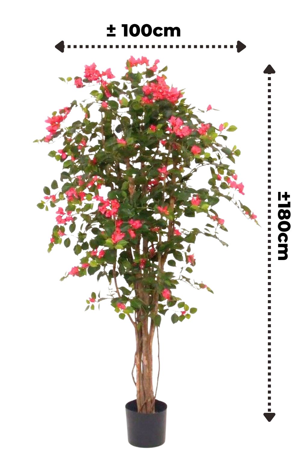 Vorbestellung Bougainvillea Kunstbaum 180cm